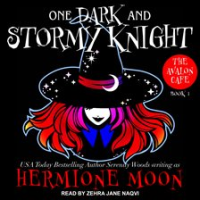 One_Dark_and_Stormy_Knight